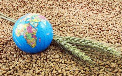Украинская зерновая ассоциация улучшила прогноз урожая зерна до 69 миллионов тонн