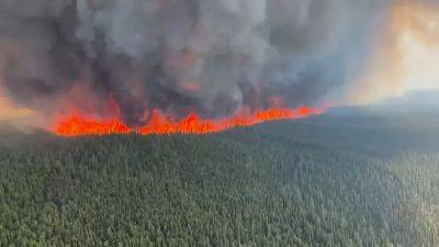 Перегретый мир в дыму лесных пожаров