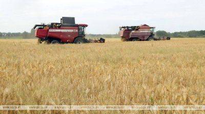 Минсельхозпрод: несмотря на экстремальные условия, урожай зерновых на полях формируется неплохо