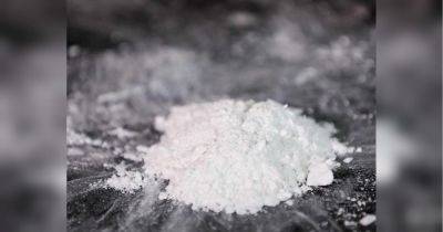 Белый порошок в Белом доме: в резиденции президента США обнаружили кокаин