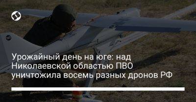 Урожайный день на юге: над Николаевской областью ПВО уничтожила восемь разных дронов РФ