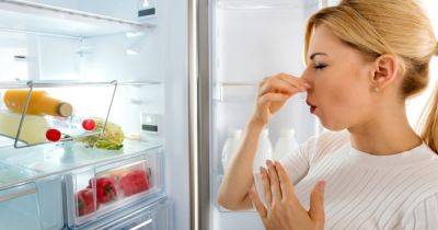 Почему продукты портятся в холодильнике и как это предотвратить