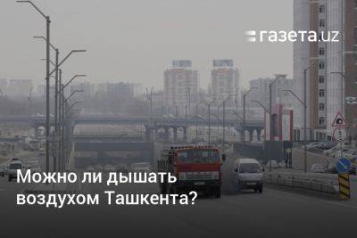 Можно ли дышать воздухом Ташкента?