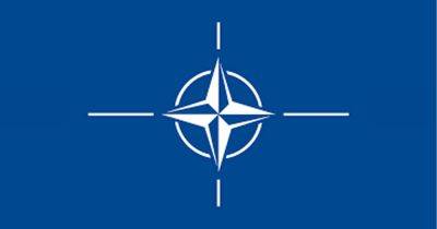 Украина не будет разочарована саммитом НАТО, — президент Литвы