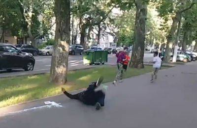 В Одессе дети сбили с ног пожилого мужчину, появилось видео: "Агрессивно и не по-человечески"