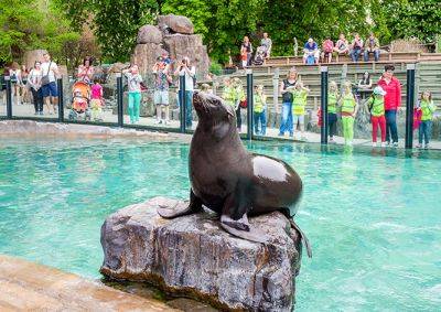 Первоклассники смогут бесплатно посетить Пражский зоопарк 1 сентября