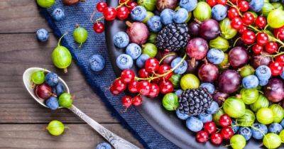 Самые полезные ягоды для сосудов: врач назвала укрепляющие плоды