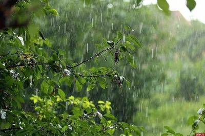 Погода в Украине 8 и 9 июля - где ожидаются дожди