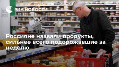 ФОМ: россияне за неделю отметили рост цен на сахар, молоко, мясную и рыбную продукцию