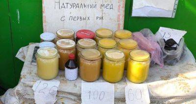 Как отличить натуральный мёд от суррогата с помощью хлеба: метод опытных пасечников