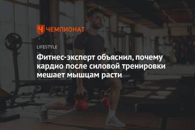 Фитнес-эксперт объяснил, почему кардио после силовой тренировки мешает мышцам расти