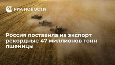 Патрушев: Россия экспортировала рекордные 47 миллионов тонн пшеницы в 2022-2023 годах
