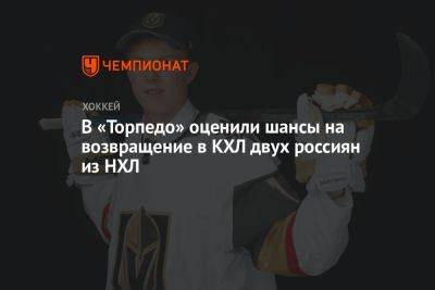 Павел Дорофеев - В «Торпедо» оценили шансы на возвращение в КХЛ двух россиян из НХЛ - championat.com - Россия - Сан-Хосе