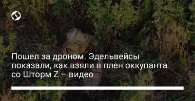 Пошел за дроном. Эдельвейсы показали, как взяли в плен оккупанта со Шторм Z – видео