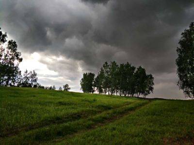 Украину накрыла непогода: в двух регионах - подтопления, ураган, град - vchaspik.ua - Украина - Киев - район Печерский - Голосеевск