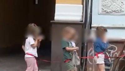 Женщина в Киеве выгуливала детей на поводке, кадры: "Что проходит за стенами садика?"