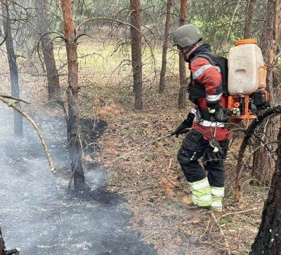 Пожар в результате обстрела вспыхнул в хвойном лесу на Харьковщине