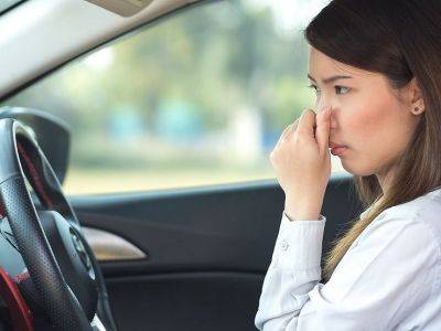 Как избавиться от запаха в салоне авто – четыре способа против вони