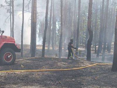 Ночью оккупанты несколько раз обстреляли Харьковскую область. Пострадала многоэтажка и частное жилье, есть раненый