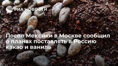 Посол в Москве Мехиас сообщил о желании Мексики начать поставлять в Россию какао и ваниль