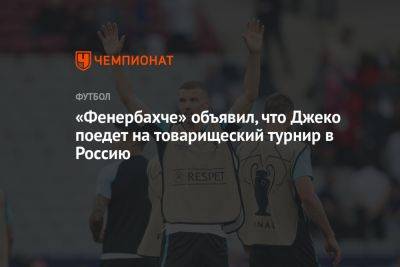«Фенербахче» объявил, что Джеко поедет на товарищеский турнир в Россию