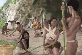 На каменных орудиях доисторических филиппинцев обнаружили следы рубки бамбука