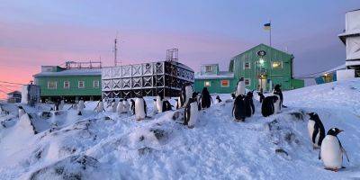 Экспедиция на ту сторону Земли. Как украинские полярники во время войны попадают в Антарктику, а потом рвутся обратно — в ВСУ
