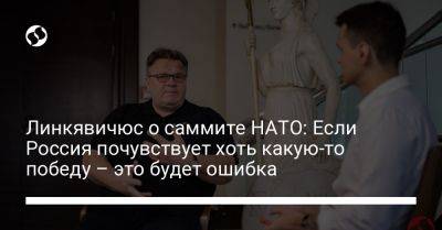 Линас Линкявичюс - Линкявичюс о саммите НАТО: Если Россия почувствует хоть какую-то победу – это будет ошибка - liga.net - Россия - Украина - Литва - Вильнюс