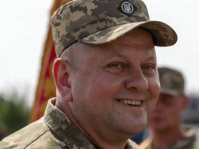 На сайте президента собирают подписи за призвоение Залужному звания Героя Украины