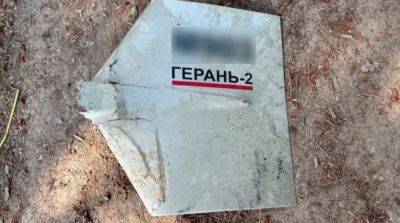 Украинские военные сбили российский дрон в Одесской области