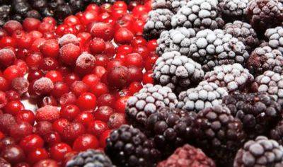 Как правильно морозить ягоды на зиму: чтобы не было кашицы, брикетов или льдин