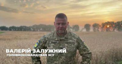 "Идем вперед": Зеленский опубликовал видео с Залужным и Ко