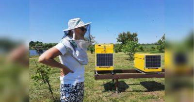 «Люди должны понимать, что пчелы — это не только мед»: в Украине работает первая в мире ІТ-пасека