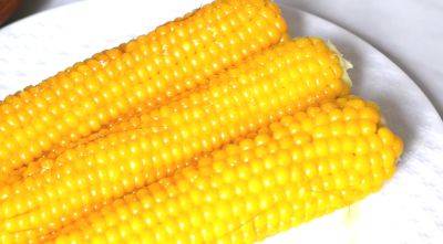 Будет мягкой и хрустящей: назван самый лучший способ варки кукурузы