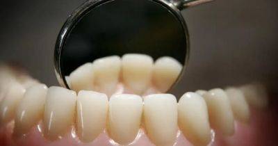 Поберегите серое вещество. Пренебрежительное отношение к чистке зубов уменьшает мозг