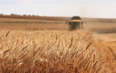 РФ планирует вывозить украденное украинское зерно в Китай - ЦНС