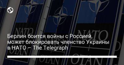 Берлин боится войны с Россией, может блокировать членство Украины в НАТО – The Telegraph