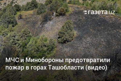 МЧС и Минобороны предотвратили пожар в горах Ташобласти (видео)