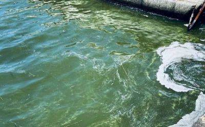 Мониторинг качества воды в Одессе: результаты на 9 июля | Новости Одессы