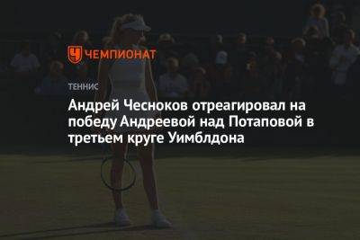 Андрей Чесноков отреагировал на победу Андреевой над Потаповой в третьем круге Уимблдона