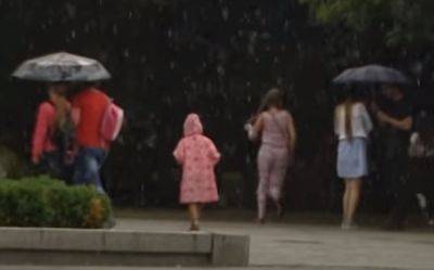Жара, ураганный ветер и дожди с грозами: синоптик Диденко предупредила о погодных "сюрпризах" в понедельник, 10 июля