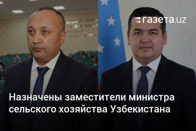 Назначены заместители министра сельского хозяйства Узбекистана