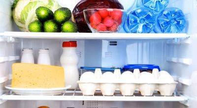 Придется покупать новый: какую еду нельзя ставить в холодильник. Она испортит вам технику