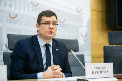Кабмин Литвы предлагает расширить поправки Касчюнаса об указании связей с Россией и Беларусью