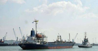 Три иностранных судна проигнорировали "блокаду" Черного моря и угрозы РФ, — аналитик (фото)