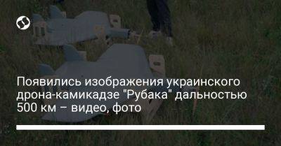 Появились изображения украинского дрона-камикадзе "Рубака" дальностью 500 км – видео, фото