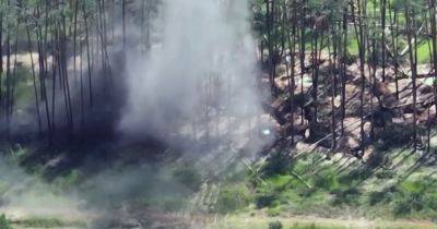 Пограничники уничтожили минометную позицию оккупантов на Лиманском направлении (видео)