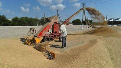 Депутат парламента Франции заявила о росте цен из-за прекращения зерновой сделки