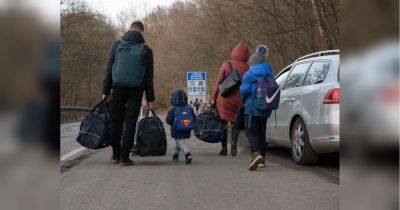Серьезная проблема для украинских беженцев в Нидерландах: кто потеряет право на жительство
