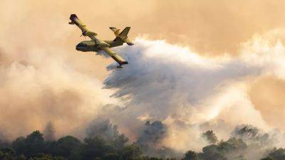 Предотвращение лесных пожаров: планы Европы на будущее
